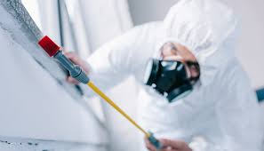 Real Estate Pest Inspections in Laurel, MS